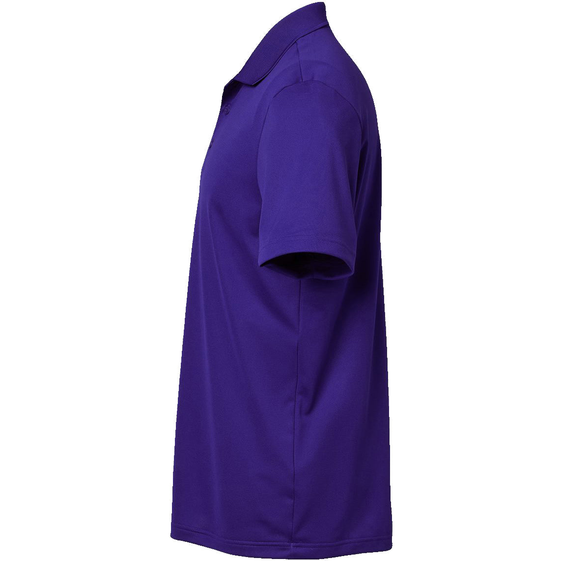 Collegiate Purple