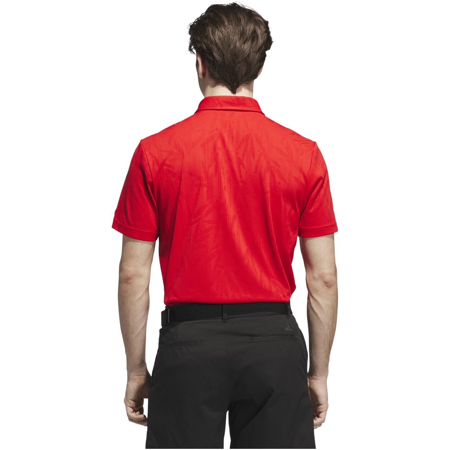collegiate red