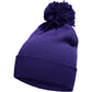 Collegiate Purple